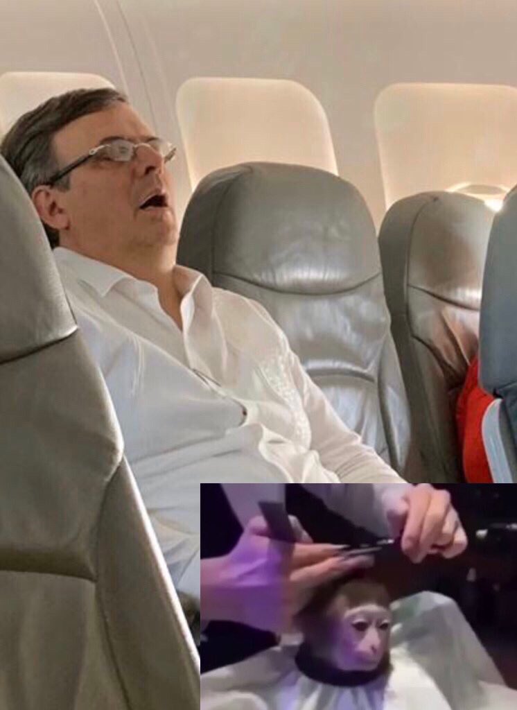 Los mejores memes de Marcelo Ebrard dormido en un avión