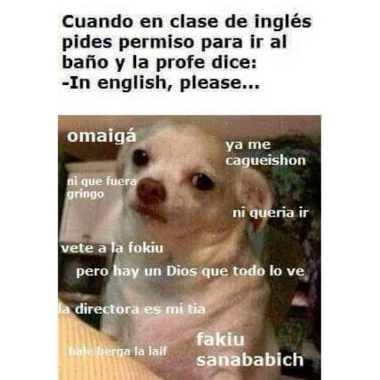 Meme del perrito enojado en clase
