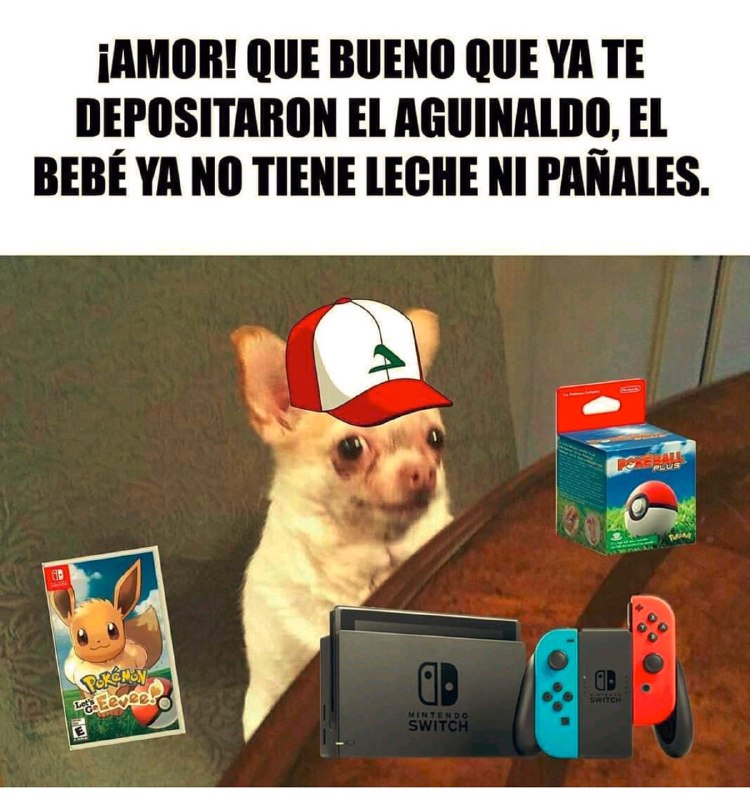 Memes del puente del 20 de noviembre