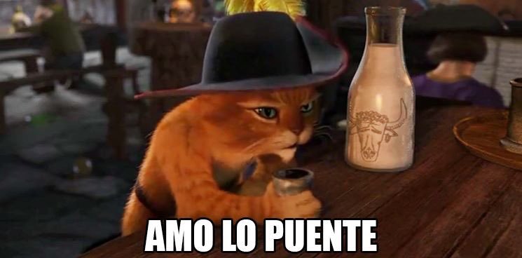 Memes del puente del 20 de noviembre