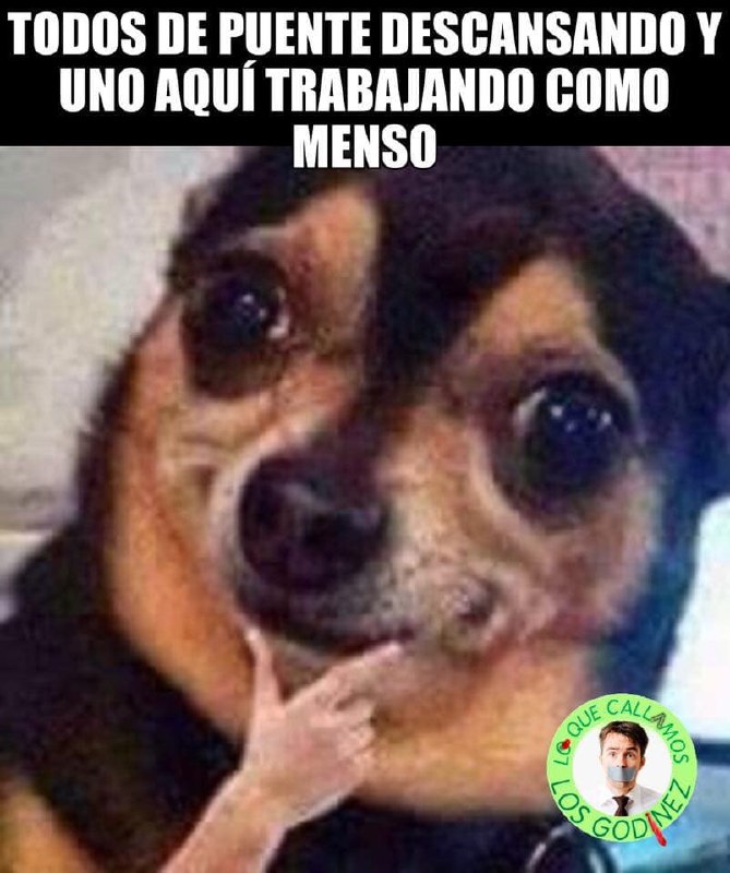 Memes del puente del 20 de noviembre