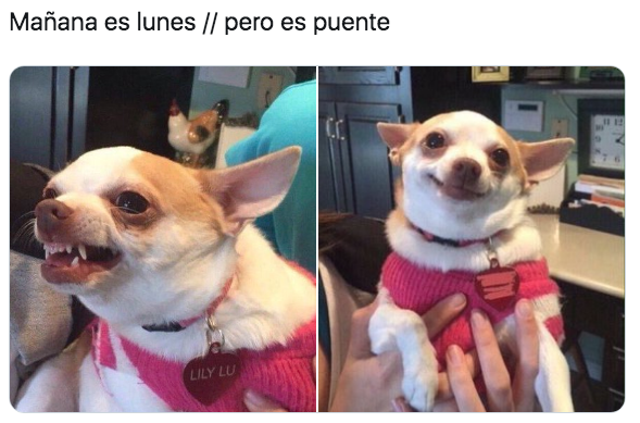 Memes del puente del 20 de noviembre