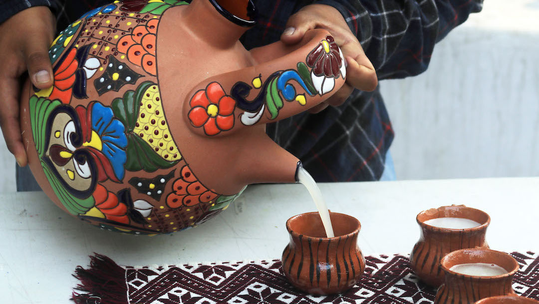 Pulque-flora-intestinal-probioticos-bacterias