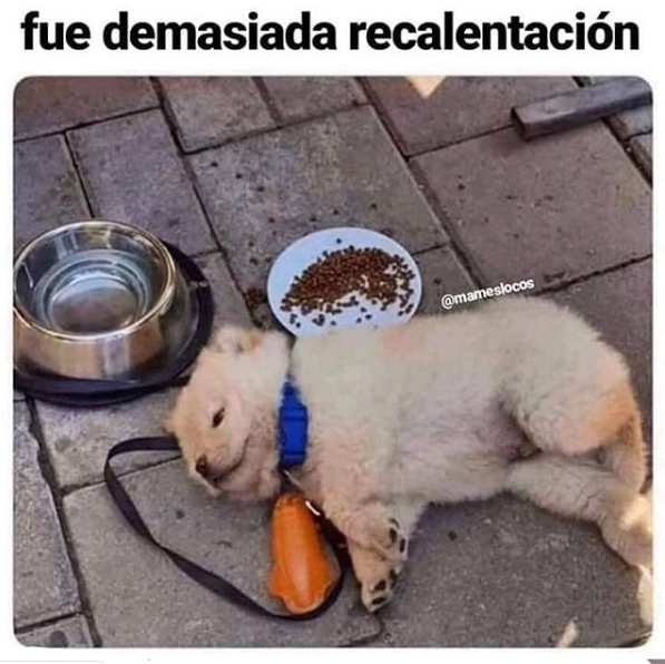 Memes de año nuevo 2020