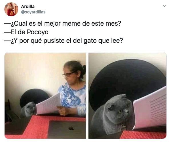Memes de Pocoyó niña y su descubrimiento