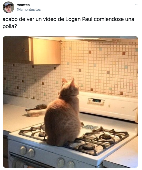 Filtran video íntimo de Logan Paul
