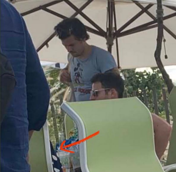 Adele y Harry Styles pasan vacaciones juntos en secreto