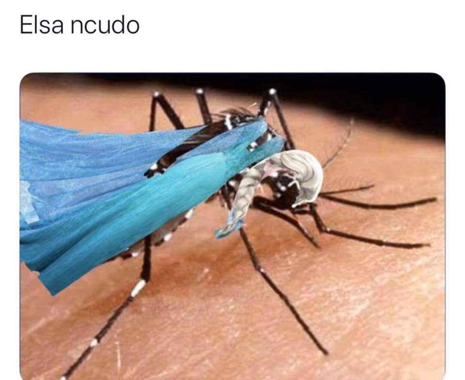 Memes de Elsa de Frozen para empezar 2020 con diversión