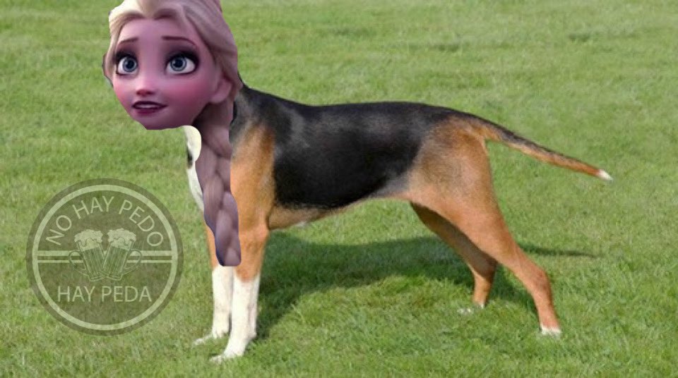 Memes de Elsa de Frozen para empezar 2020 con diversión