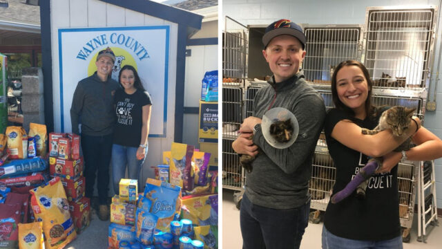 Pareja pide croquetas para perros como regalo de bodas