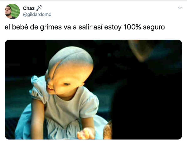 Memes de grimes embarazada de Elon Musk