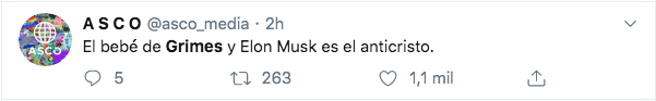Memes de grimes embarazada de Elon Musk