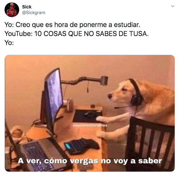 Memes: Tusa - Karol G para hacer toro este llanto por nara