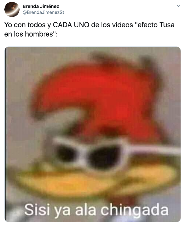 Memes: Tusa - Karol G para hacer toro este llanto por nara
