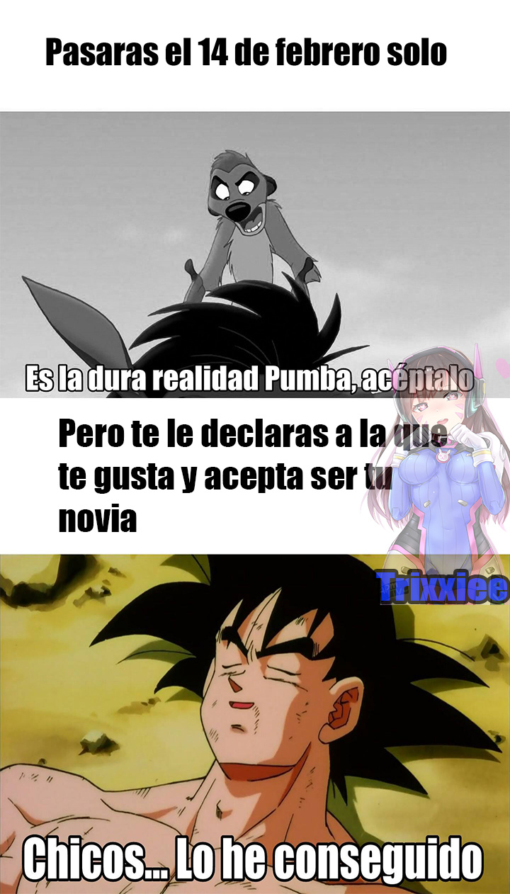 memes 14 de febrero