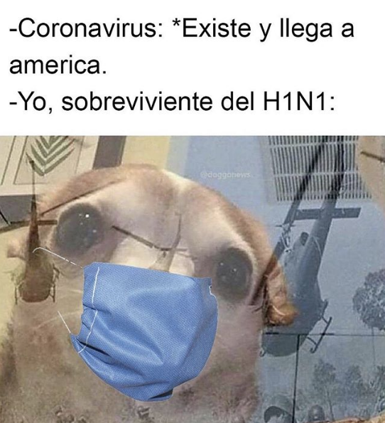 Memes del coronavirus
