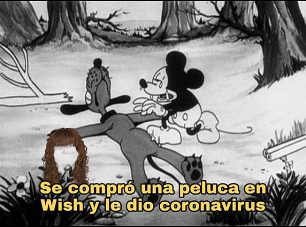 Memes del coronavirus