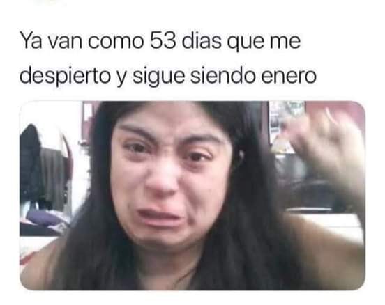 Memes de enero largo 2020