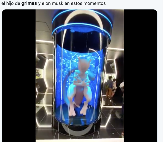 Memes de grimes embarazada de Elon Musk