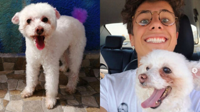 Juanpa Zurita en luto tras muerte de su perrita Puca