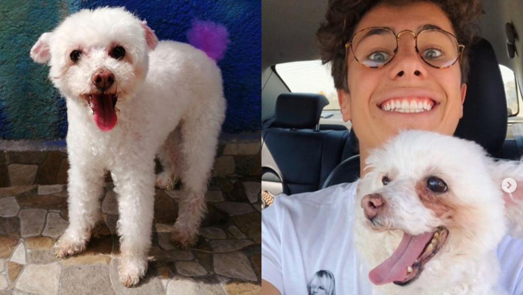 Juanpa Zurita en luto tras muerte de su perrita Puca