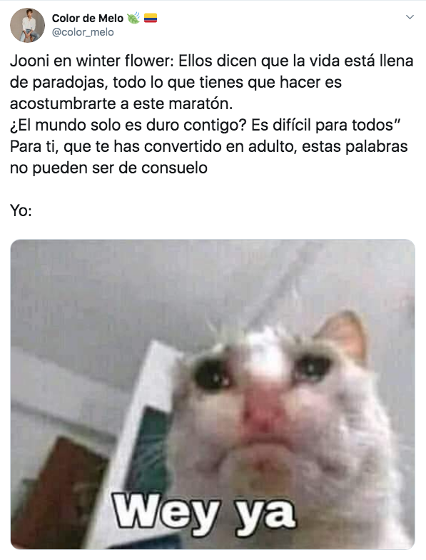 Namjoon y Younha estrenan WINTER FLOWER