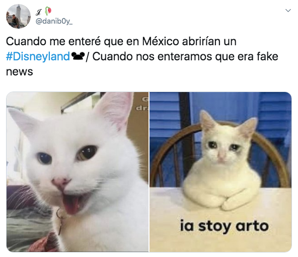 Memes de Disneylandia en Querétaro
