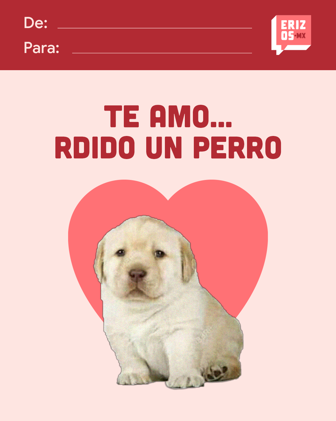 Frases de amor de San Valentín