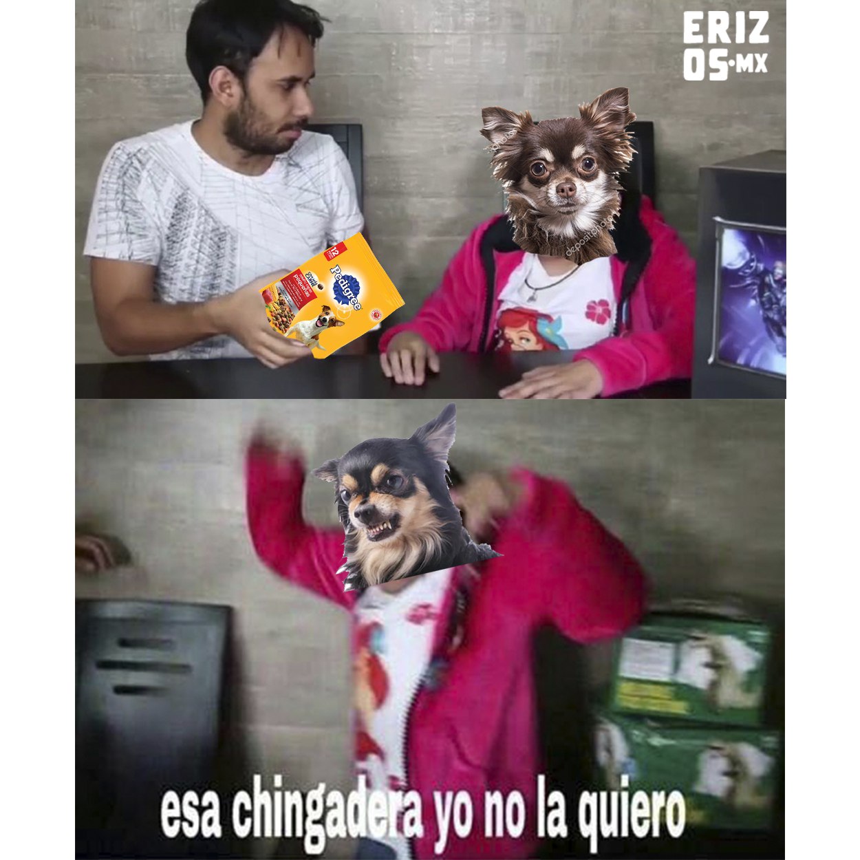 Meme pedigree es malo para los perros
