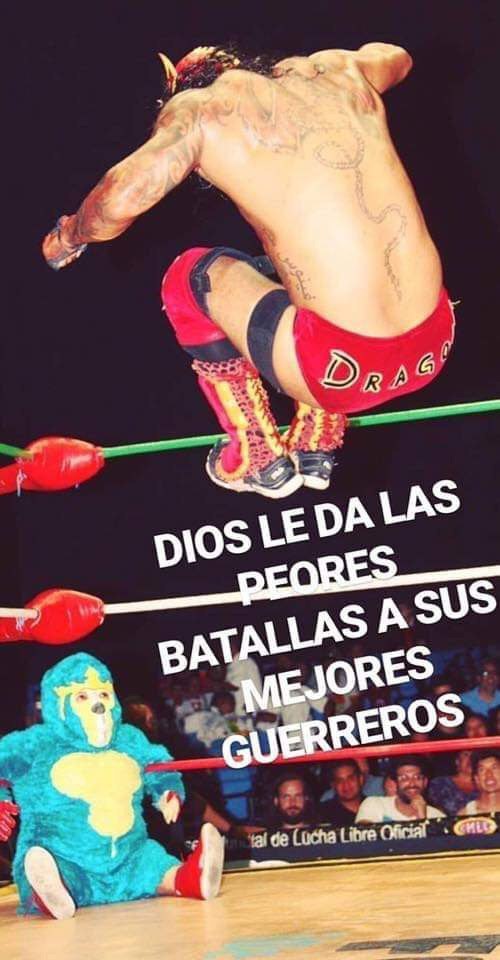 Memes de Kemonito
