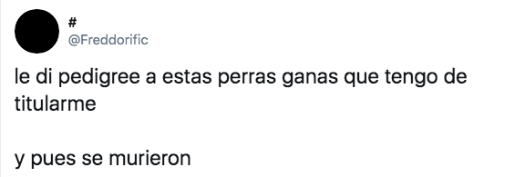 Memes pedigree malo para perros