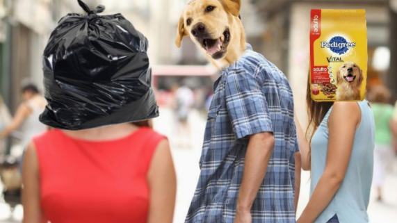 Memes pedigree malo para perros