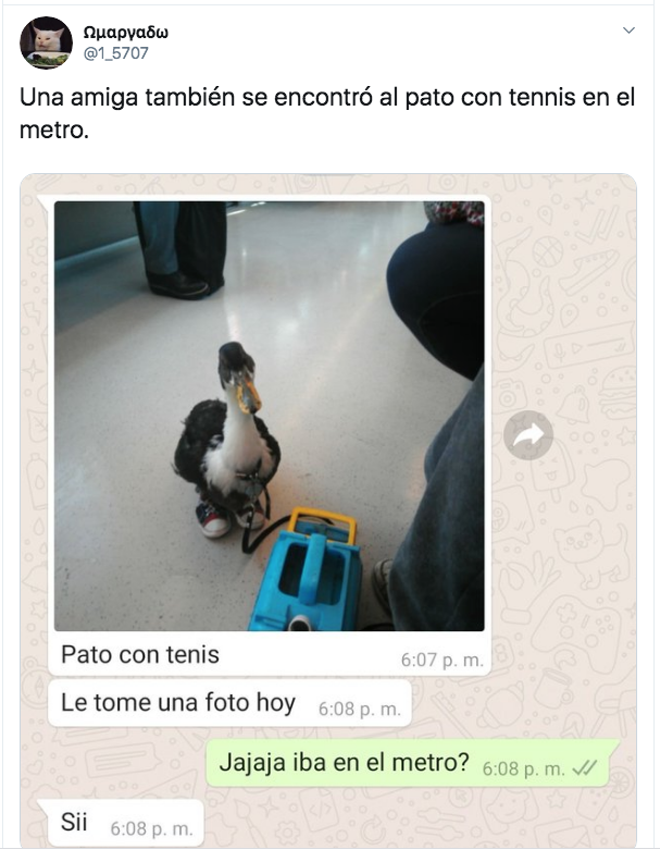 pato con tenis bruna en el metro de la cdmx