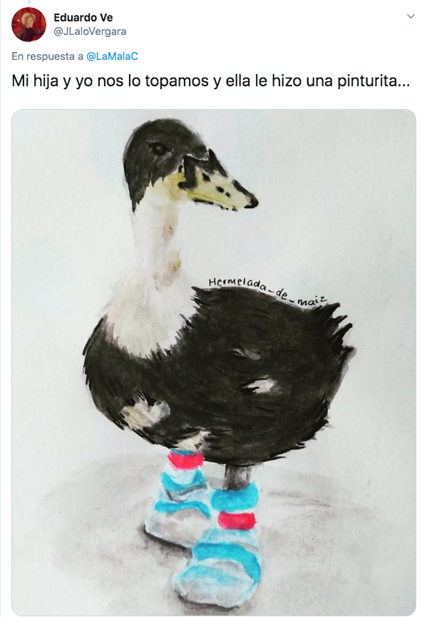 Pintura de pato en el metro de la cdmx con tenis