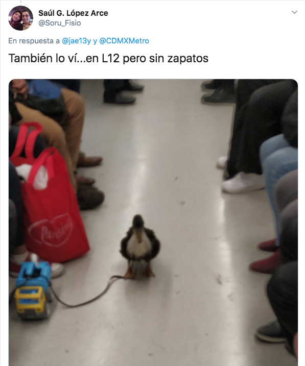 pato con tenis bruna en el metro de la cdmx