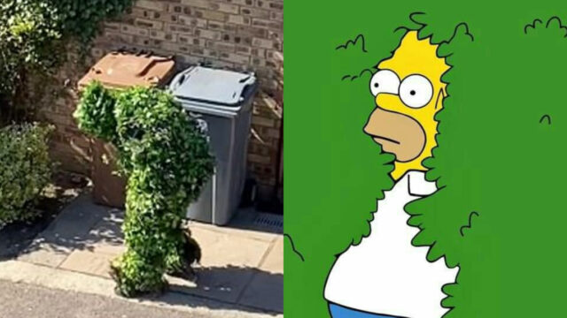VIDEO: Se disfraza de abursto para evitar la cuarentena
