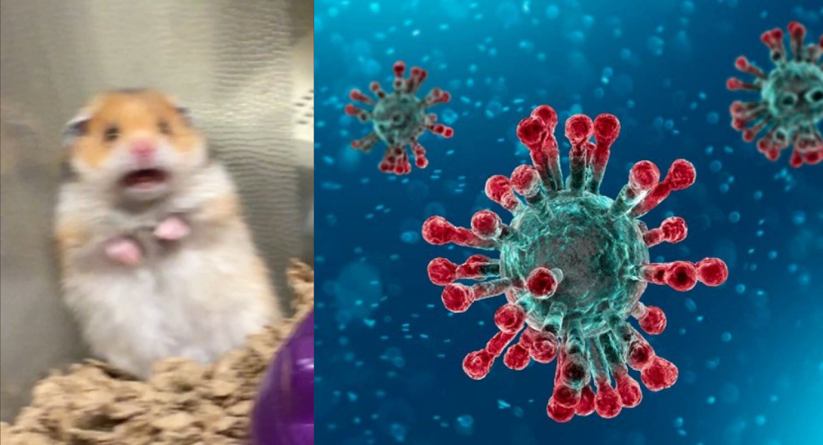 Estrés incrementa posibilidades de contagio de coronavirus