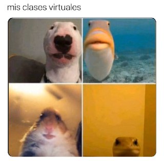 Memes de las clases virtuales por el Coronavirus