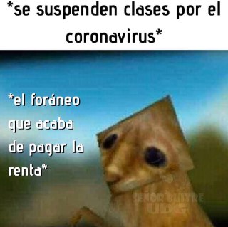 Memes de las clases virtuales por el Coronavirus