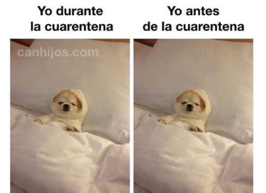 Memes de la cuarentena por Coronavirus