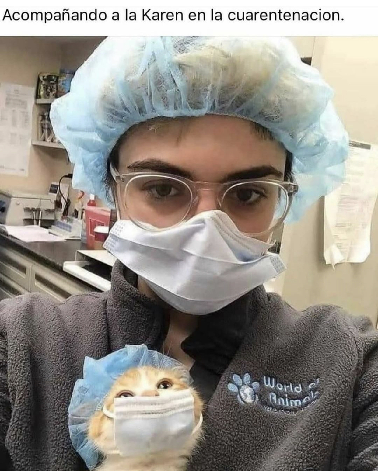 Memes de la cuarentena por Coronavirus