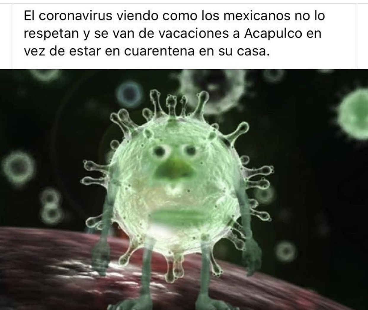 Memes de la cuarentena por Coronavirus