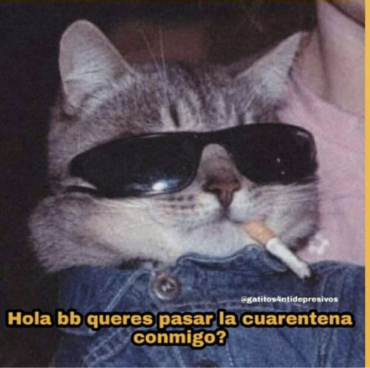 Memes de la cuarentena por Coronavirus