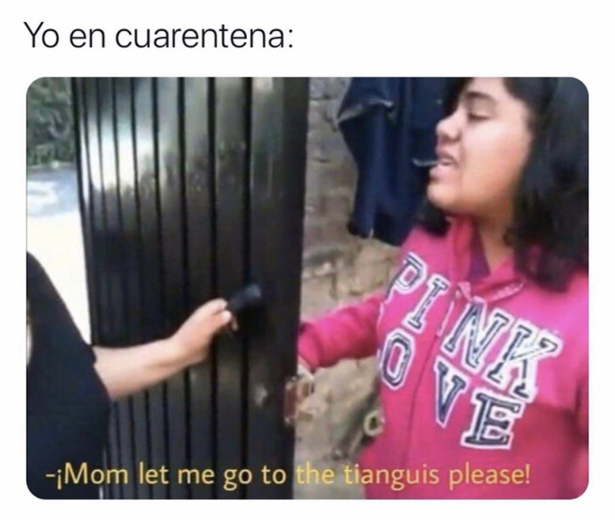 Memes de la cuarentena por Coronavirus