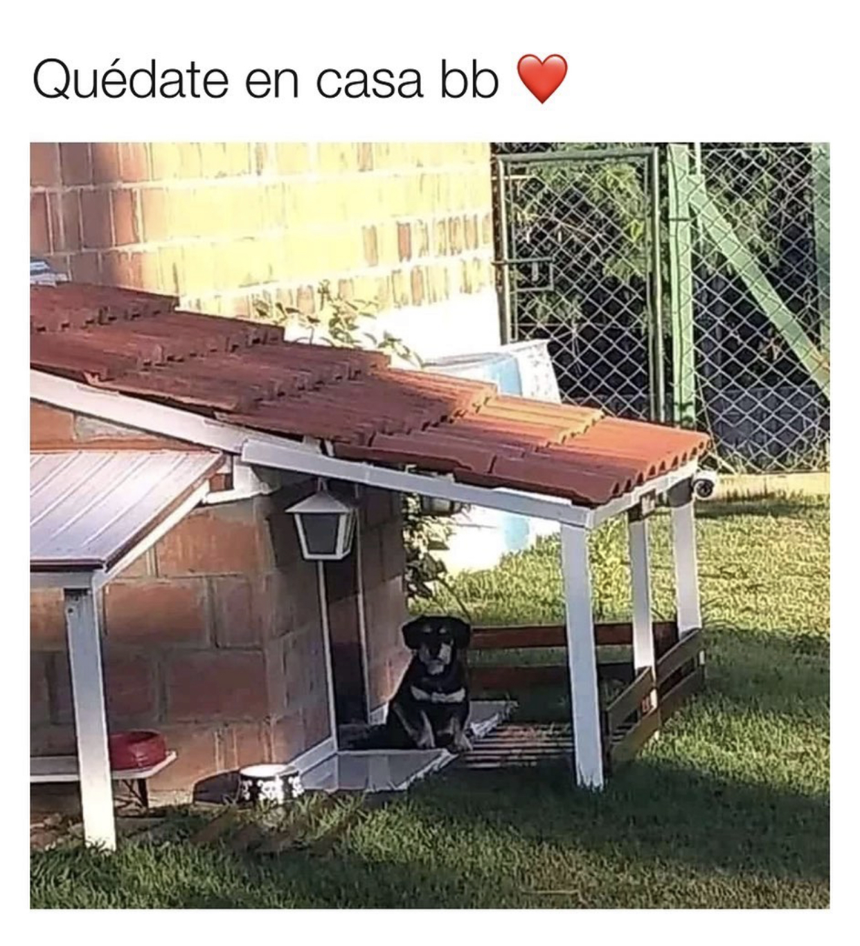 Memes de la cuarentena por Coronavirus