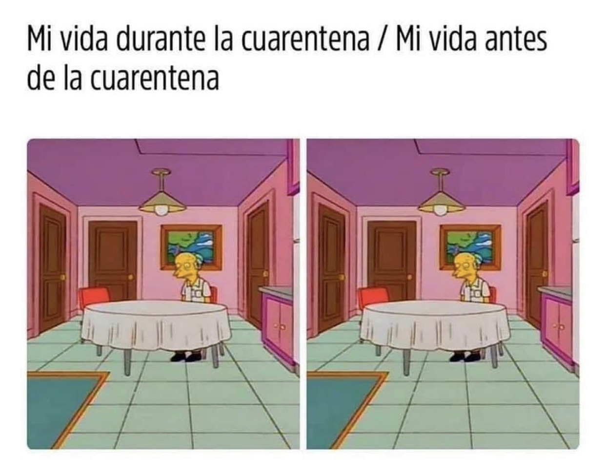 Memes de la cuarentena por Coronavirus