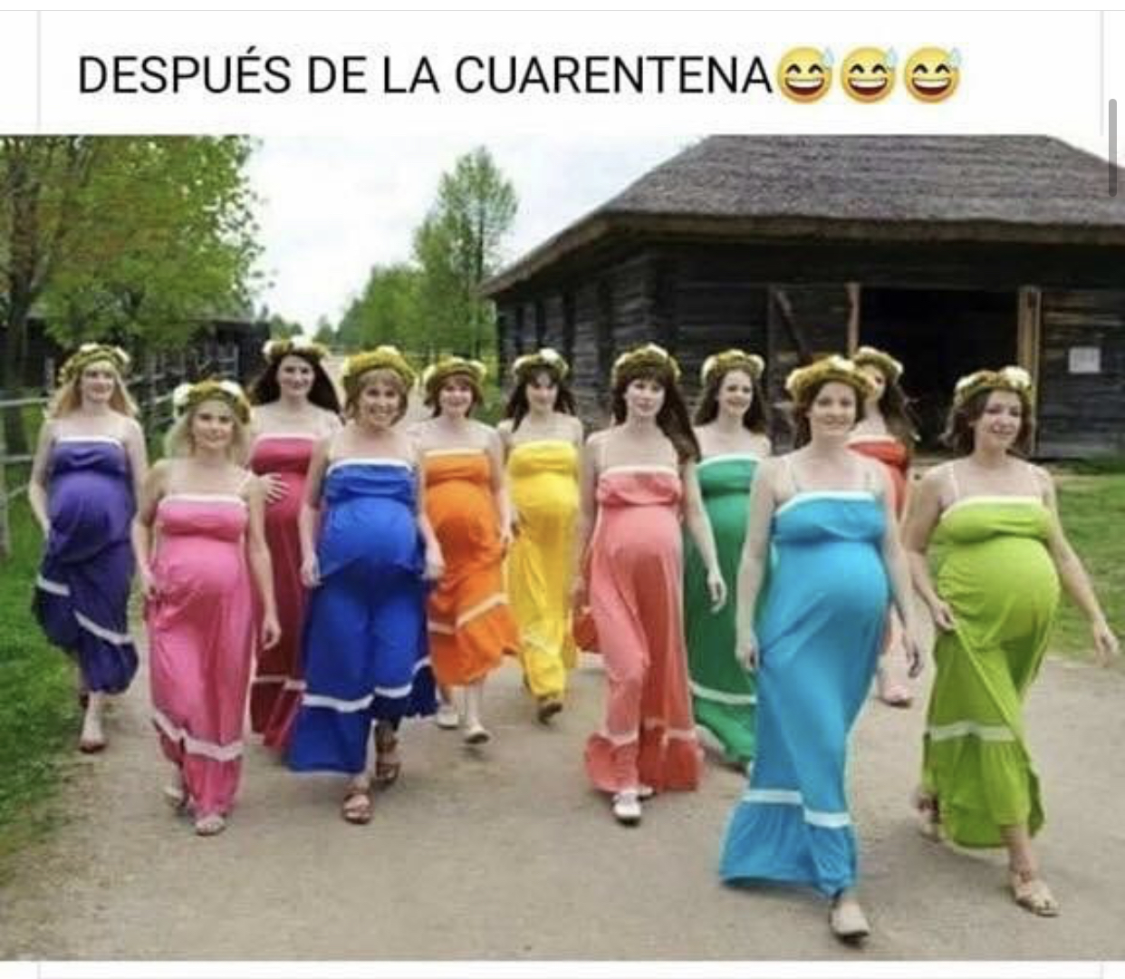 Memes de la cuarentena por Coronavirus