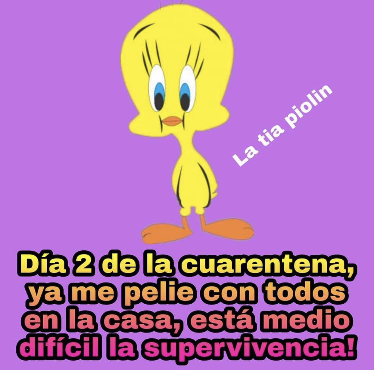 Memes de la cuarentena por Coronavirus
