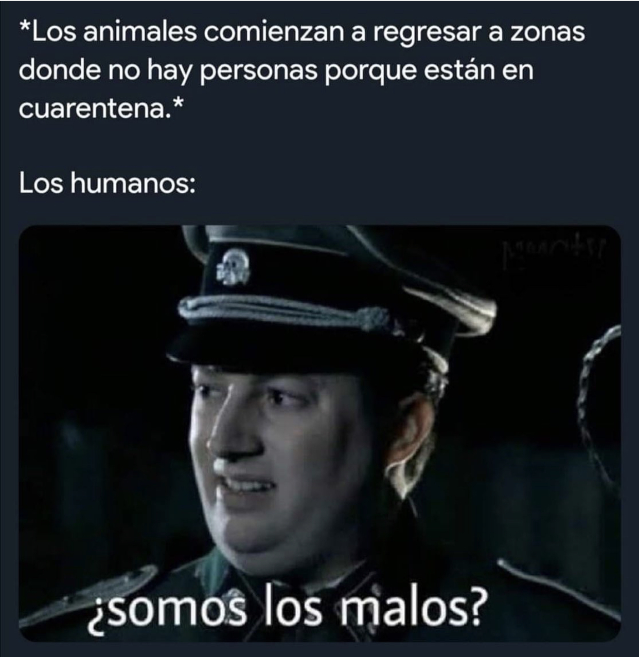 Memes de la cuarentena por Coronavirus