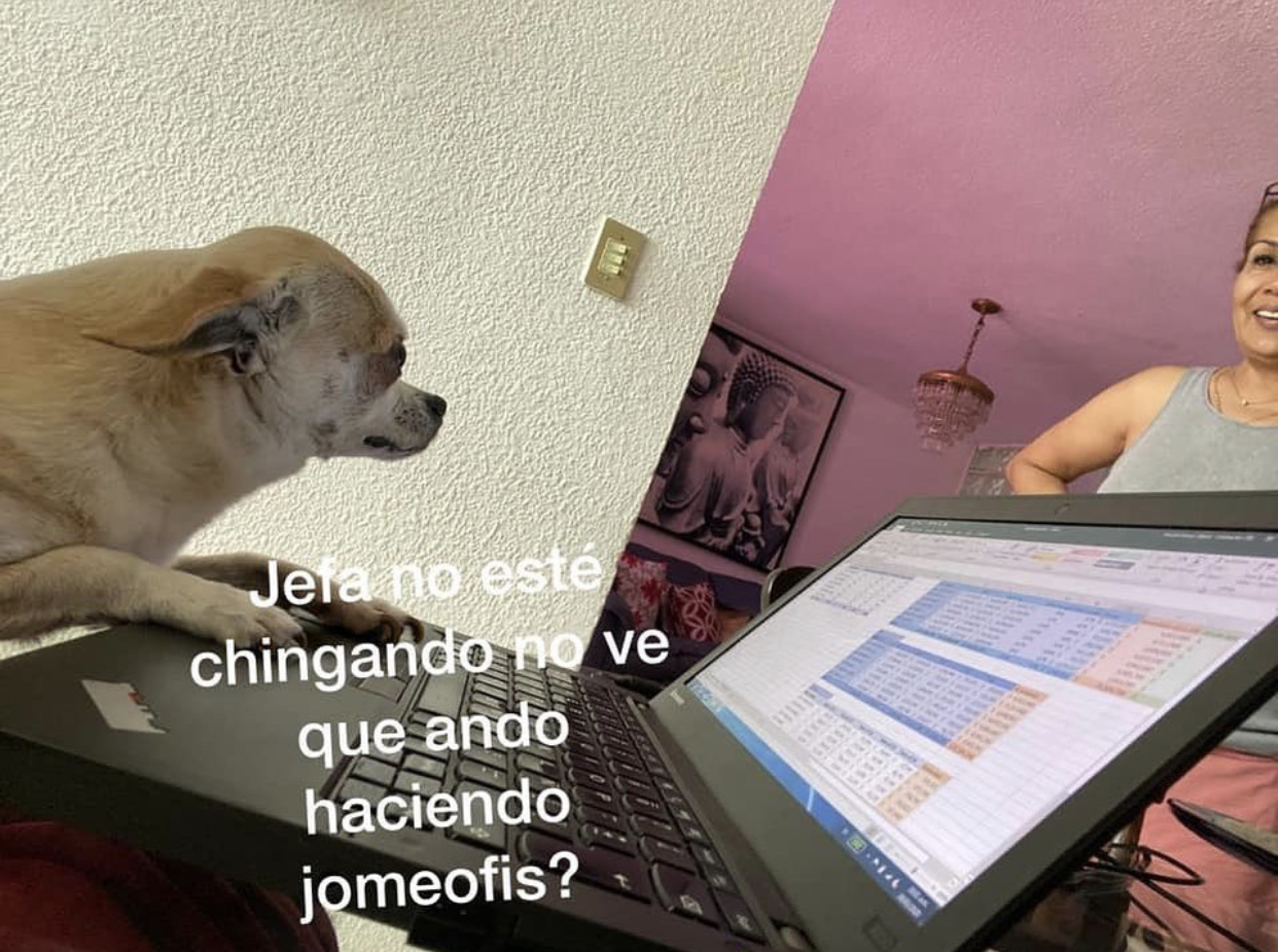 Memes de la cuarentena por Coronavirus